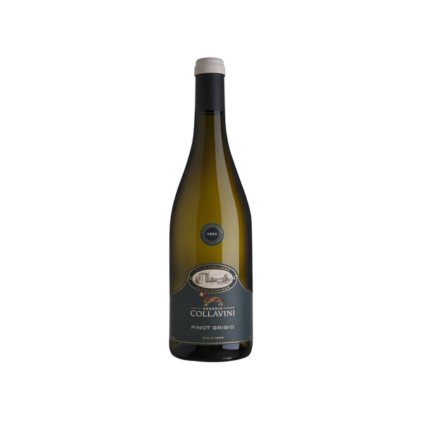 COLLAVINNI PINOT GRIGIO